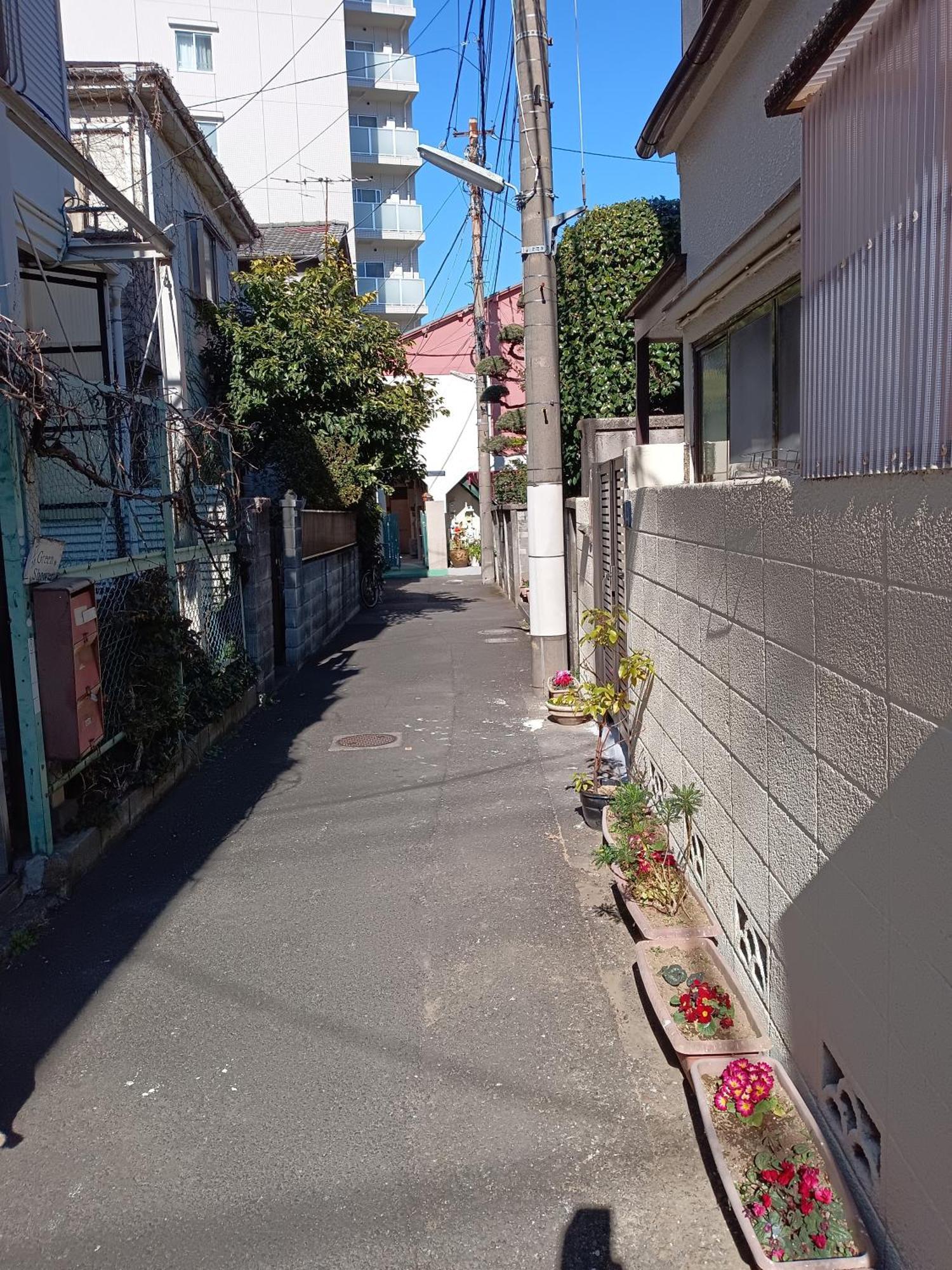 Homestay Tokayo Downtown *